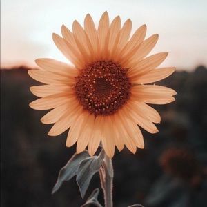 Meet your Posher, Chloe